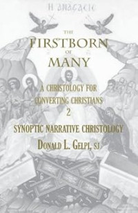 Image of The Firstborn of Many: A Christology for Converting Christians. Synoptic Narrative Christology: 002