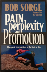 Image of PAIN, PERPLEXITY AND PROMOTION